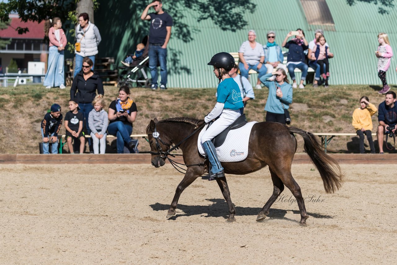 Bild 12 - Pony Akademie Turnier